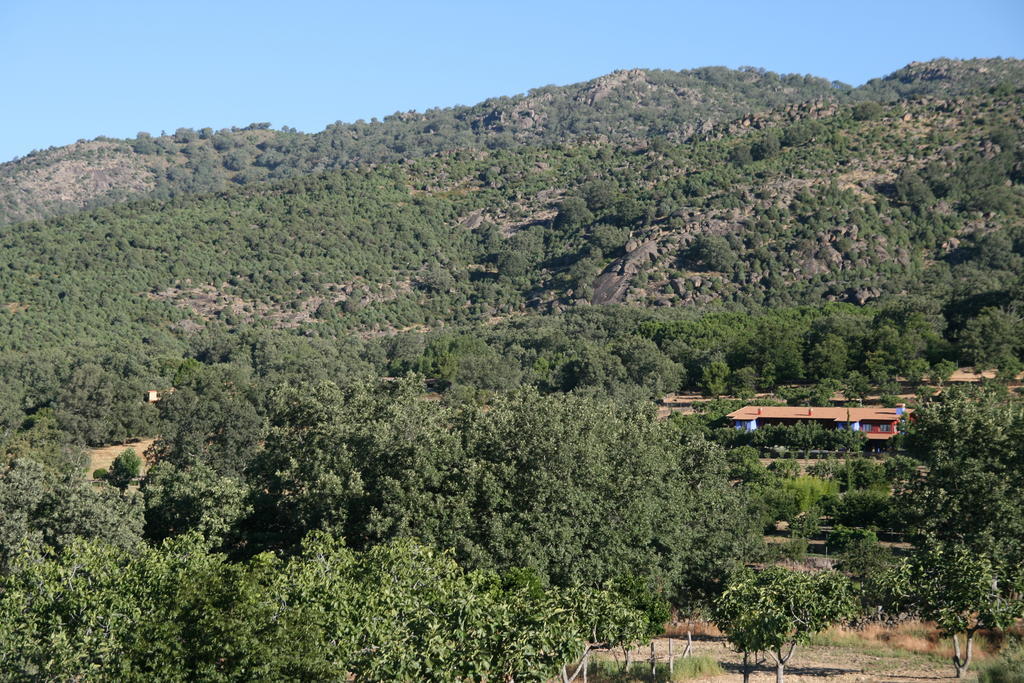 Lalisea Guest House Talaveruela Exterior photo